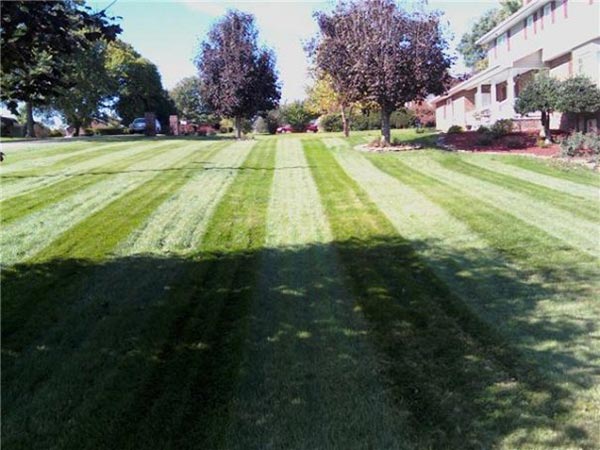Mowing-1