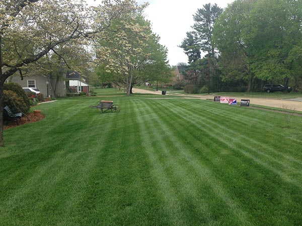 Mowing-2